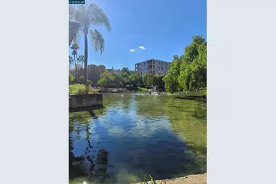 310 Civic Dr. #315, Walnut Creek, CA 94597 - Photo 8