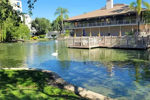 310 Civic Dr, Walnut Creek, CA 94597 - Photo 44