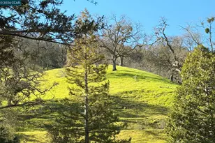 3109 Terra Granada Dr, Walnut Creek, CA 94595 - Photo 32