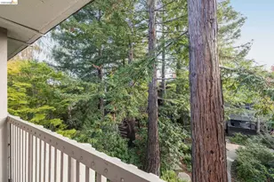 1332 Shelter Creek Ln, San Bruno, CA 94066 - Photo 12