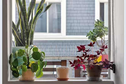 81 Frank Norris Place #303, San Francisco, CA 94109 - Photo 14