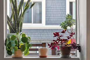 81 Frank Norris Pl, San Francisco, CA 94109 - Photo 14