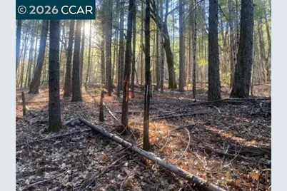 9471 Wildcat Rd, Kelseyville, CA 95451 - Photo 12