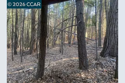 9471 Wildcat Rd, Kelseyville, CA 95451 - Photo 10