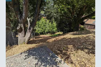 1110 Sterling Ave., Berkeley, CA 94708 - Photo 22