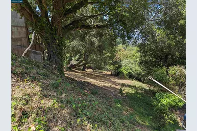 1110 Sterling Ave., Berkeley, CA 94708 - Photo 20