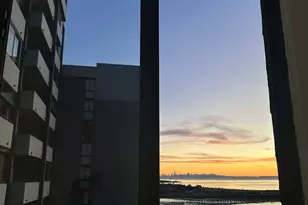 555 Pierce St, Albany, CA 94706 - Photo 6