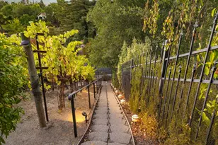 13 Kemp Ct, Alamo, CA 94507 - Photo 38