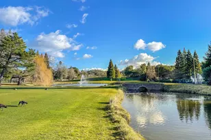 13 Kemp Ct, Alamo, CA 94507 - Photo 48