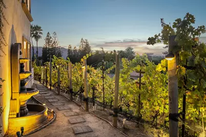 13 Kemp Ct, Alamo, CA 94507 - Photo 40