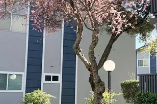 9085 Alcosta Blvd, San Ramon, CA 94583 - Photo 12