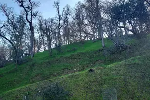 5250 Treosti Pl, Valley Springs, CA 95252 - Photo 44