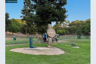 437 Coleman Ct, Pleasant Hill, CA 94523 - Photo 44