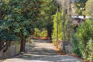 58 Arlington Ave, Kensington, CA 94707 - Photo 44