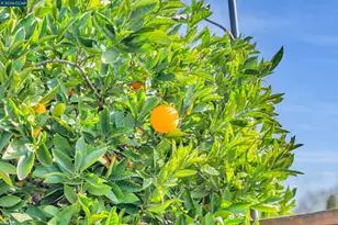 112 Danvilla Ct, Danville, CA 94526 - Photo 52