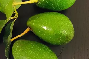 1034 Trenton Blvd, San Pablo, CA 94806 - Photo 22