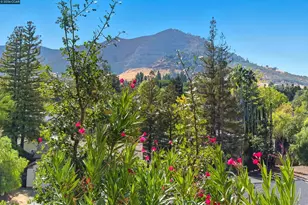 23 Mt Wilson Way, Clayton, CA 94517 - Photo 34