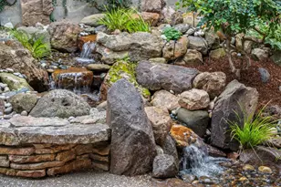 854 Leo Way, Oakland, CA 94611 - Photo 14