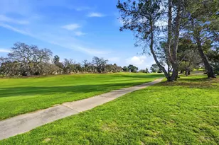 1443 Marchbanks Dr, Walnut Creek, CA 94598 - Photo 34