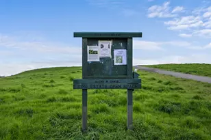 10315 Dante Ave, Oakland, CA 94603 - Photo 34