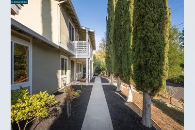 320 Miranda Ln, Alamo, CA 94507 - Photo 6