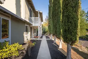 320 Miranda Ln, Alamo, CA 94507 - Photo 6