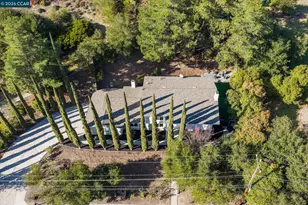 320 Miranda Ln, Alamo, CA 94507 - Photo 52