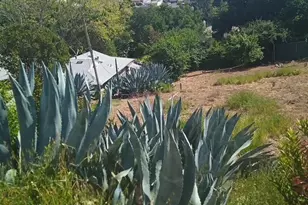 Hitchborn, Vallejo, CA 94590 - Photo 1