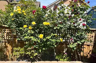 2036 Serra Ln, Hercules, CA 94547 - Photo 20