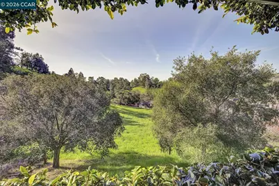 1375 El Curtola Blvd, Lafayette, CA 94549 - Photo 40