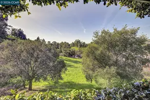 1375 El Curtola Blvd, Lafayette, CA 94549 - Photo 40