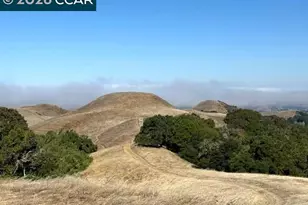 5913 Horsemans Canyon Dr, Walnut Creek, CA 94595 - Photo 48