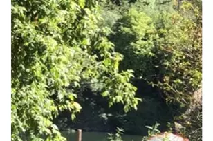 20340 Hwy 116, Monte Rio, CA 95642 - Photo 4