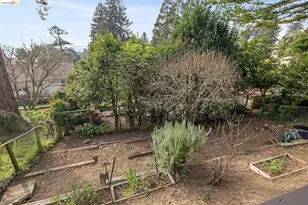 1024 Miller Ave, Berkeley, CA 94708 - Photo 50