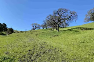2490 Tassajara Ln, Danville, CA 94526 - Photo 2