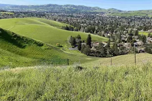 2490 Tassajara Ln, Danville, CA 94526 - Photo 4