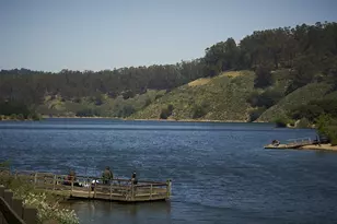 4515 Ewing Rd, Castro Valley, CA 94546 - Photo 38