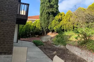 4515 Ewing Rd, Castro Valley, CA 94546 - Photo 28