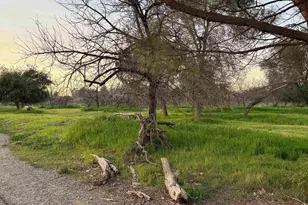 1384 Buckhorn Creek Rd, Livermore, CA 94550 - Photo 58