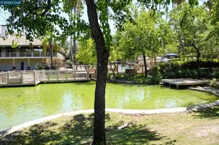 440 Civic Dr, Walnut Creek, CA 94596 - Photo 26