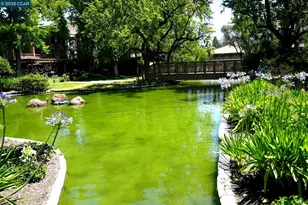 440 Civic Dr, Walnut Creek, CA 94596 - Photo 28