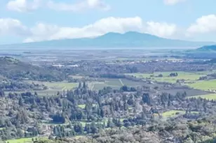 4590 McCready Ct, Fairfield, CA 94534 - Photo 48