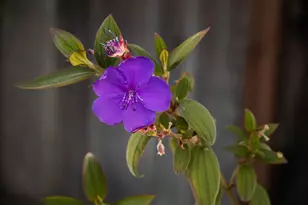 230 Belleview Dr, San Leandro, CA 94577 - Photo 42