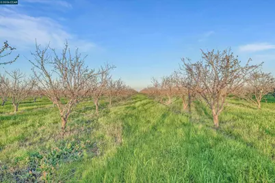 7760 Byron Hwy, Byron, CA 94514 - Photo 42