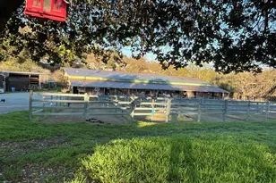 401 Pine Creek Rd, Walnut Creek, CA 94598 - Photo 6