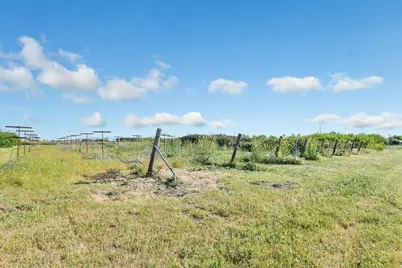 8091 Balfour Rd, Brentwood, CA 94513 - Photo 30