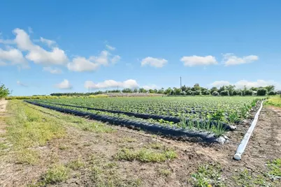 8091 Balfour Rd, Brentwood, CA 94513 - Photo 32