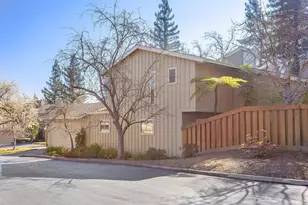 441 Sycamore Hill Dr, Danville, CA 94526 - Photo 40