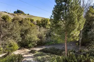 320 Corte Gabriel, Moraga, CA 94556 - Photo 32