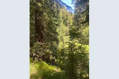 2 Wainwright Pl, Mill Valley, CA 94941 - Photo 4